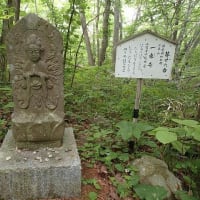 遥遥函館　函館山(観音コース)