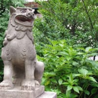 港区にある「久國神社」の狛犬さん（2017年夏訪問）