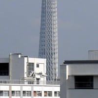 ２０２５／７／１の朝の東京スカイツリー