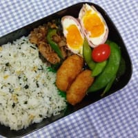 4月3〜14日のお弁当。
