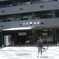 食