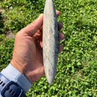 畑で拾った物