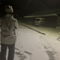 とうとう降ってしまいました❄️