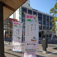 第53回紀州おどり「ぶんだら節」
