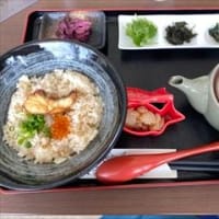 2024夏　12歳のゴールデンレトリバー　マハロの北海道旅行　Vol.5　～紋別から京都へ～