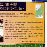 浜松に何故置かれているのか？　ダグラスDC-3型飛行機。　(浜松市)