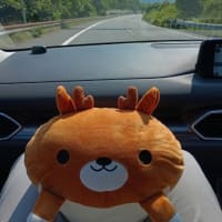 若旦那と荷物を運ぶ…