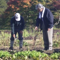 菅原文太さんご夫妻が・・・