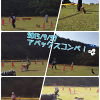オープンコンペのお知らせ