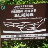 納涼には最適な場所でしたが・・・