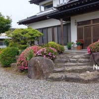 実家は花いっぱい