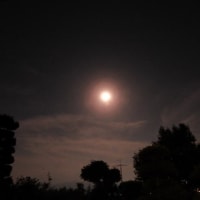 ５月の満月 ”フラワームーン”、夕焼け、りんご伐採木焼却