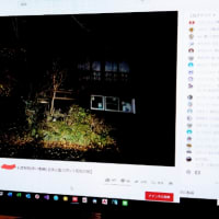 気持ち悪い