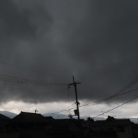 突然の雨２０２５．６