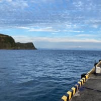 伊豆大島　日帰り釣行