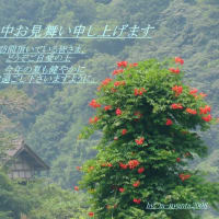2025　夏のご挨拶