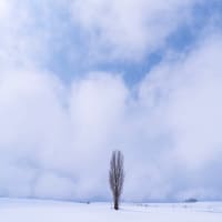 北海道3月の美瑛vol.9 / Sony α7RⅢ