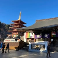 高幡不動尊初詣