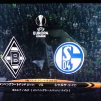 2010 FIFA ワールドカップ 南アフリカ大会 準々決勝 2010 FIFA ワールドカップ 南アフリカ大会 準々決勝