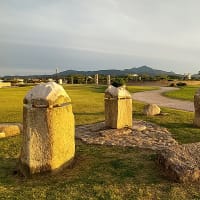 ６月１４日土曜日発行の「柏崎情報パーク」です。