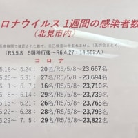 今朝のロータリー広場の気温