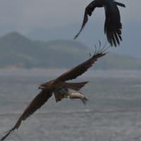 梅雨なんで、、、