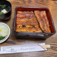 うなぎJAPAN etc