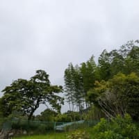 キリストの言葉　　　息子らと出掛けてきました part1