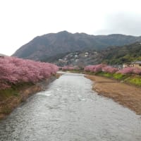 伊豆散策