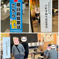 期日前投票
