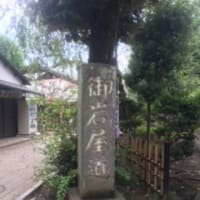 娘と行く旅　横浜・鎌倉・江ノ島8