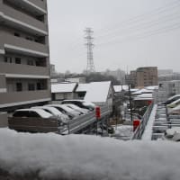 東京に何年ぶりかの積雪