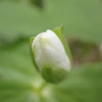 5/14