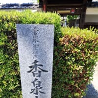 宝樹院～香泉寺・・・それぞれの事情　　　　　京都市南区　　　　2024.5.21 訪問