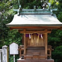 愛媛県西条市、中野甲「伊曽乃神社」です！！