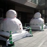 北海道独立の朝か