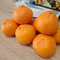 体がミカンを欲しがってる！