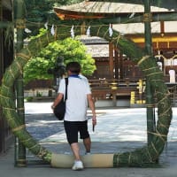 28日、千本釈迦堂から立本寺、平野神社への散歩で真夏日だより＆癌治療