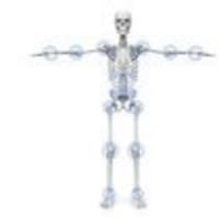 人間の骨の数は大人と子供ではどちらが多い 伊勢市 姿勢改善ｓｋストレッチ インストラクター辻出美香 公式サイト