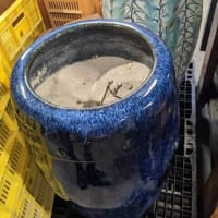 今治店情報