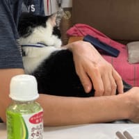 2025/6/26の朝
