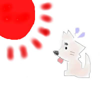 暑い・・・