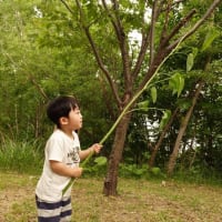 ちびっこ遊び隊！通信　2025年6月11日(水)宮丘公園で「草花あそび」