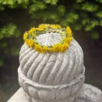 それでも笑って生きていく
