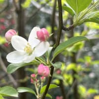 長時間プラススピード！まだまだ伸びる！全科目個別指導だから、ここまで強い！料金も安い！はて？想定内の塾に何を求める？