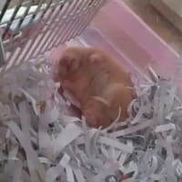 この世界に