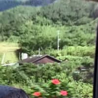 八丈小島もあるく　よみがえれ　三宅島応援ツアー　８回目　八丈島