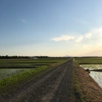 一日の終わり