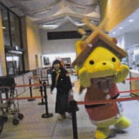 去年のしまねっこちゃん