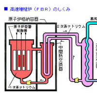 福島原発以上に危険性のある高速増殖炉『もんじゅ』で今起きていること　東日本大震災　メルトダウン